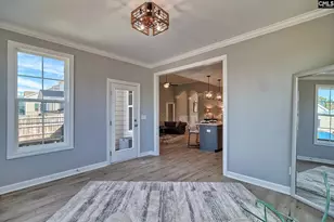 1420 Saugus Ct, Chapin, SC 29036 - Photo 24