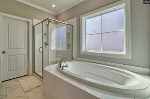 1420 Saugus Ct, Chapin, SC 29036 - Photo 24