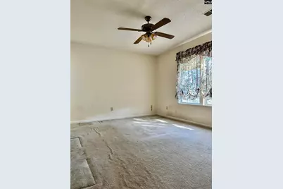 209 Maple Tree Court, Lexington, SC 29073 - Photo 12