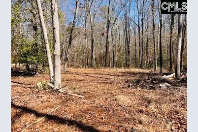 Maple Knoll Road #10, Prosperity, SC 29127 - Photo 6