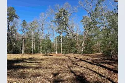 622 Juniper Springs Road, Gilbert, SC 29054 - Photo 10