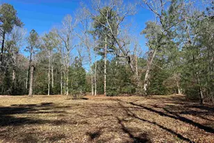 622 Juniper Springs Rd, Gilbert, SC 29054 - Photo 10