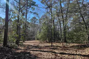 622 Juniper Springs Rd, Gilbert, SC 29054 - Photo 8