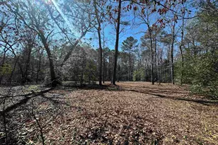 622 Juniper Springs Rd, Gilbert, SC 29054 - Photo 2