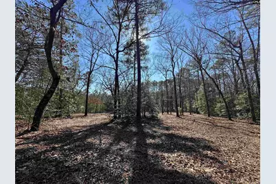 622 Juniper Springs Road, Gilbert, SC 29054 - Photo 1