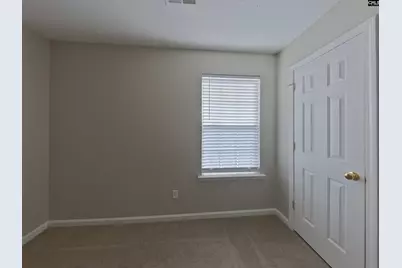 189 Youpon Drive, Lexington, SC 29073 - Photo 12