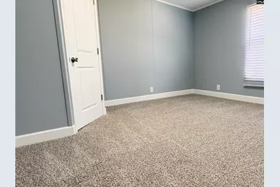 436 Forestbrook Court, Gaston, SC 29053 - Photo 4