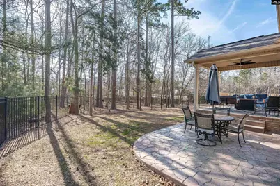 110 Night Harbor Drive, Chapin, SC 29036 - Photo 50