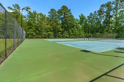 110 Night Harbor Drive, Chapin, SC 29036 - Photo 58