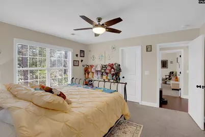 110 Night Harbor Drive, Chapin, SC 29036 - Photo 36
