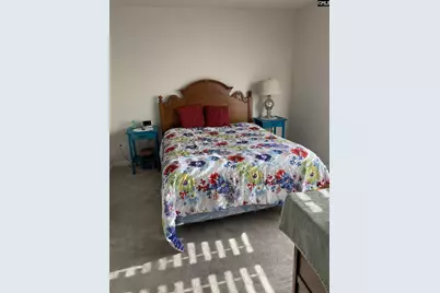 215 Bones Road, Gilbert, SC 29054 - Photo 12