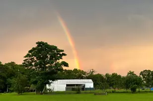 1080 Fox Young Rd, Wagener, SC 29164 - Photo 38