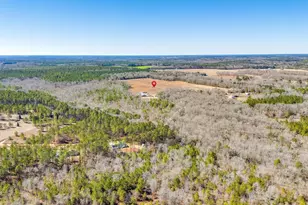 1080 Fox Young Rd, Wagener, SC 29164 - Photo 62
