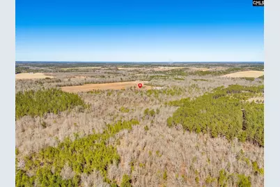 1080 Fox Young Road, Wagener, SC 29164 - Photo 66