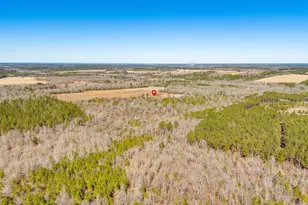 1080 Fox Young Rd, Wagener, SC 29164 - Photo 66