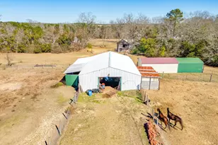 1080 Fox Young Rd, Wagener, SC 29164 - Photo 70
