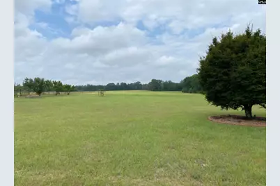 1080 Fox Young Road, Wagener, SC 29164 - Photo 42