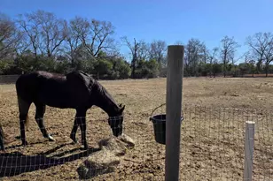 1080 Fox Young Rd, Wagener, SC 29164 - Photo 42