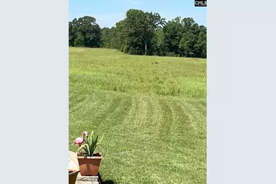 1080 Fox Young Road, Wagener, SC 29164 - Photo 38