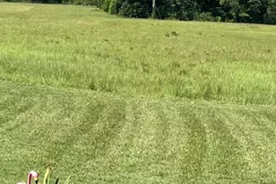 1080 Fox Young Rd, Wagener, SC 29164 - Photo 38