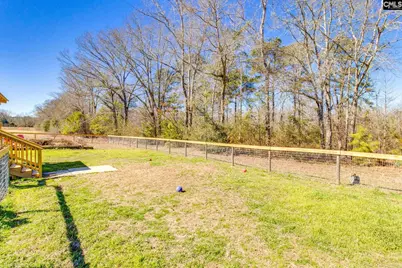 1080 Fox Young Road, Wagener, SC 29164 - Photo 40