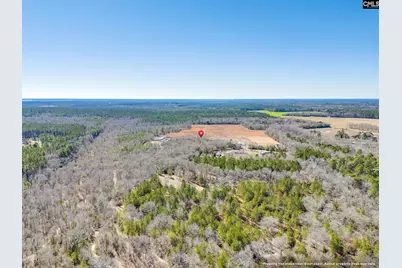 1080 Fox Young Road, Wagener, SC 29164 - Photo 60