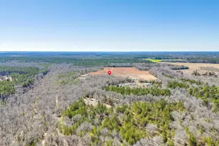 1080 Fox Young Rd, Wagener, SC 29164 - Photo 60