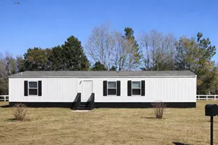234 Binnicker Bridge Rd, Orangeburg, SC 29115 - Photo 2