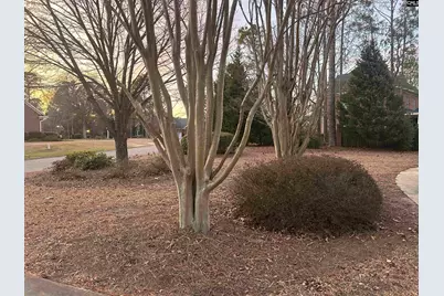 120 Brookhaven Circle #33, Blythewood, SC 29016 - Photo 34