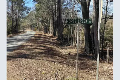 0 Bethany Road, Saluda, SC 29138 - Photo 2