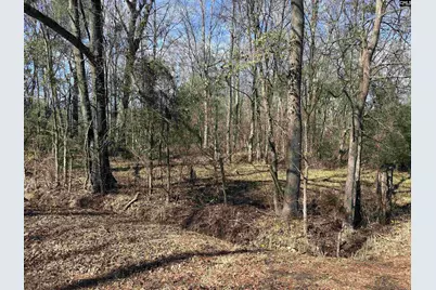 0 Bethany Road, Saluda, SC 29138 - Photo 6