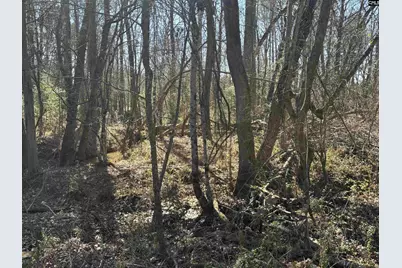 0 Bethany Road, Saluda, SC 29138 - Photo 22