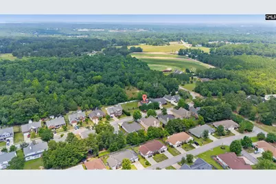 112 Rivendell Drive, Lexington, SC 29073 - Photo 48