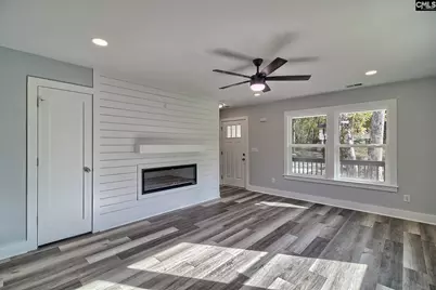 209 Lynch Lane, Chapin, SC 29036 - Photo 4