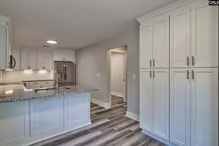 209 Lynch Ln, Chapin, SC 29036 - Photo 6