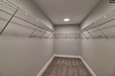 209 Lynch Lane, Chapin, SC 29036 - Photo 18