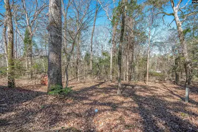 3600 Kennerly Road, Irmo, SC 29063 - Photo 32
