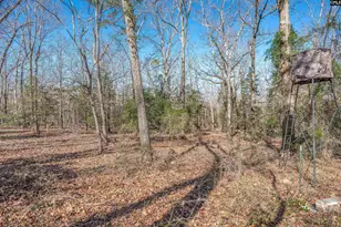 3600 Kennerly Rd, Irmo, SC 29063 - Photo 30