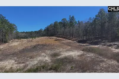 699 Crystal Springs Drive, Lexington, SC 29073 - Photo 4