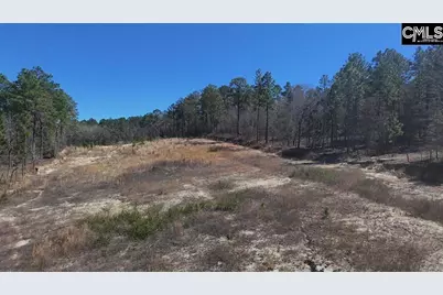 699 Crystal Springs Drive, Lexington, SC 29073 - Photo 2