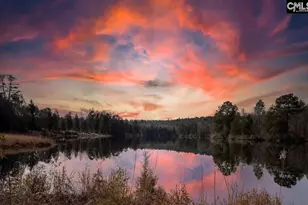 616 Rose Quartz Ln, Lexington, SC 29073 - Photo 50