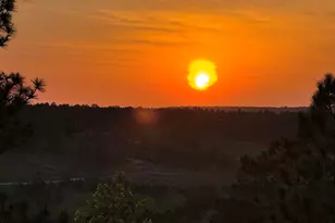 616 Rose Quartz Ln, Lexington, SC 29073 - Photo 50