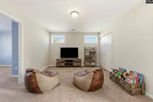 314 Summit Bluff Ct, West Columbia, SC 29170 - Photo 26