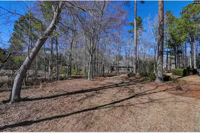 264 Kelsey Glen Drive, Lexington, SC 29072 - Photo 40