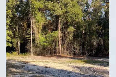 824 Anders Drive, Columbia, SC 29203 - Photo 4