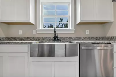 Tbd Horses Neck Road, Swansea, SC 29160 - Photo 10