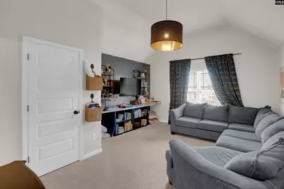 812 Village Well, Chapin, SC 29036 - Photo 26