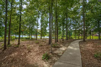 812 Village Well, Chapin, SC 29036 - Photo 48