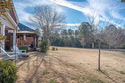 812 Village Well, Chapin, SC 29036 - Photo 38