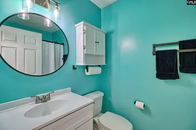 512 Old Bush River Road, Chapin, SC 29036 - Photo 20